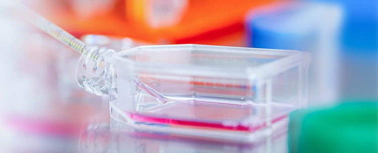 Cell Culture Plastics
