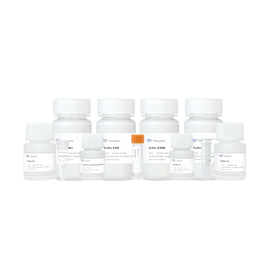 FastPure EndoFree Plasmid Mini Kit