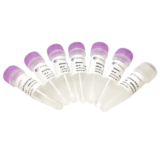 Ribo-off rRNA Depletion Kit (Human/Mouse/Rat)