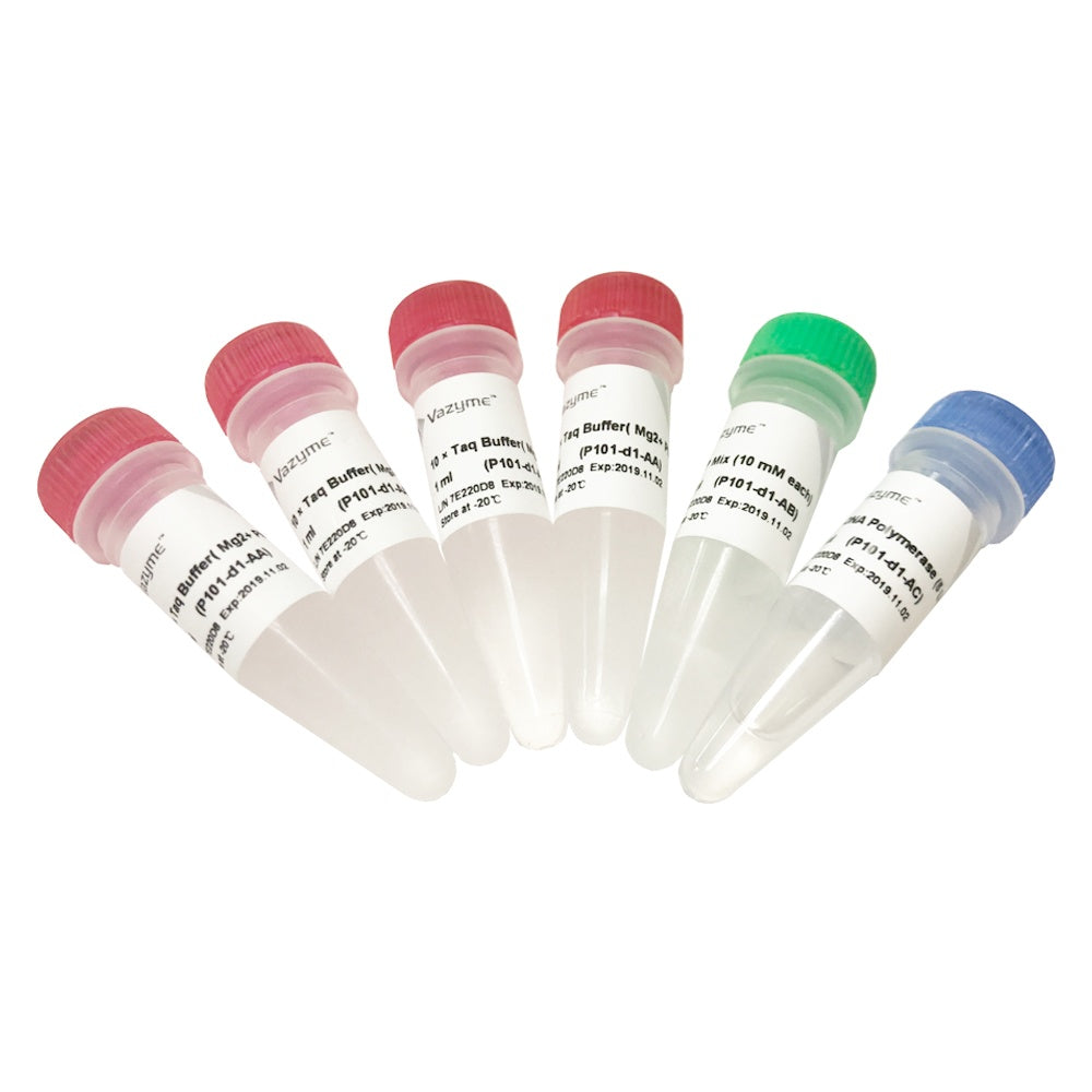 Taq DNA Polymerase (Mg2+ plus Buffer)