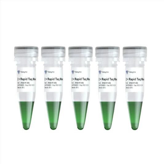 2 × Rapid Taq Master Mix
