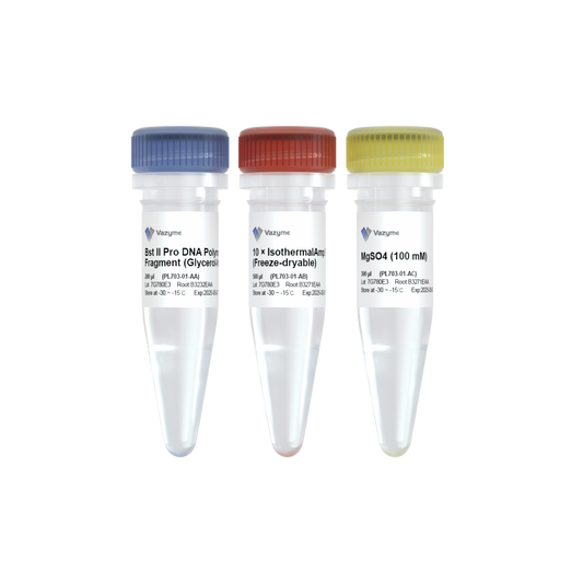 Bst II Pro DNA Polymerase Large Fragment (Glycerol-free)