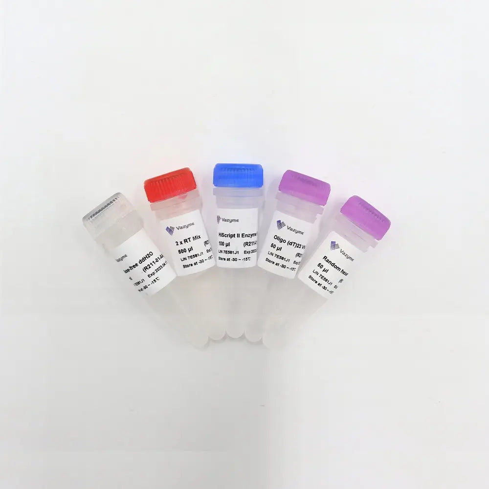 HiScript II 1st Strand cDNA Synthesis Kit