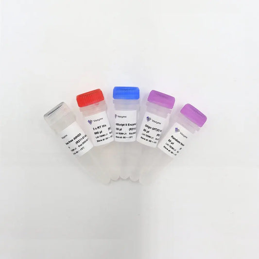 HiScript II 1st Strand cDNA Synthesis Kit