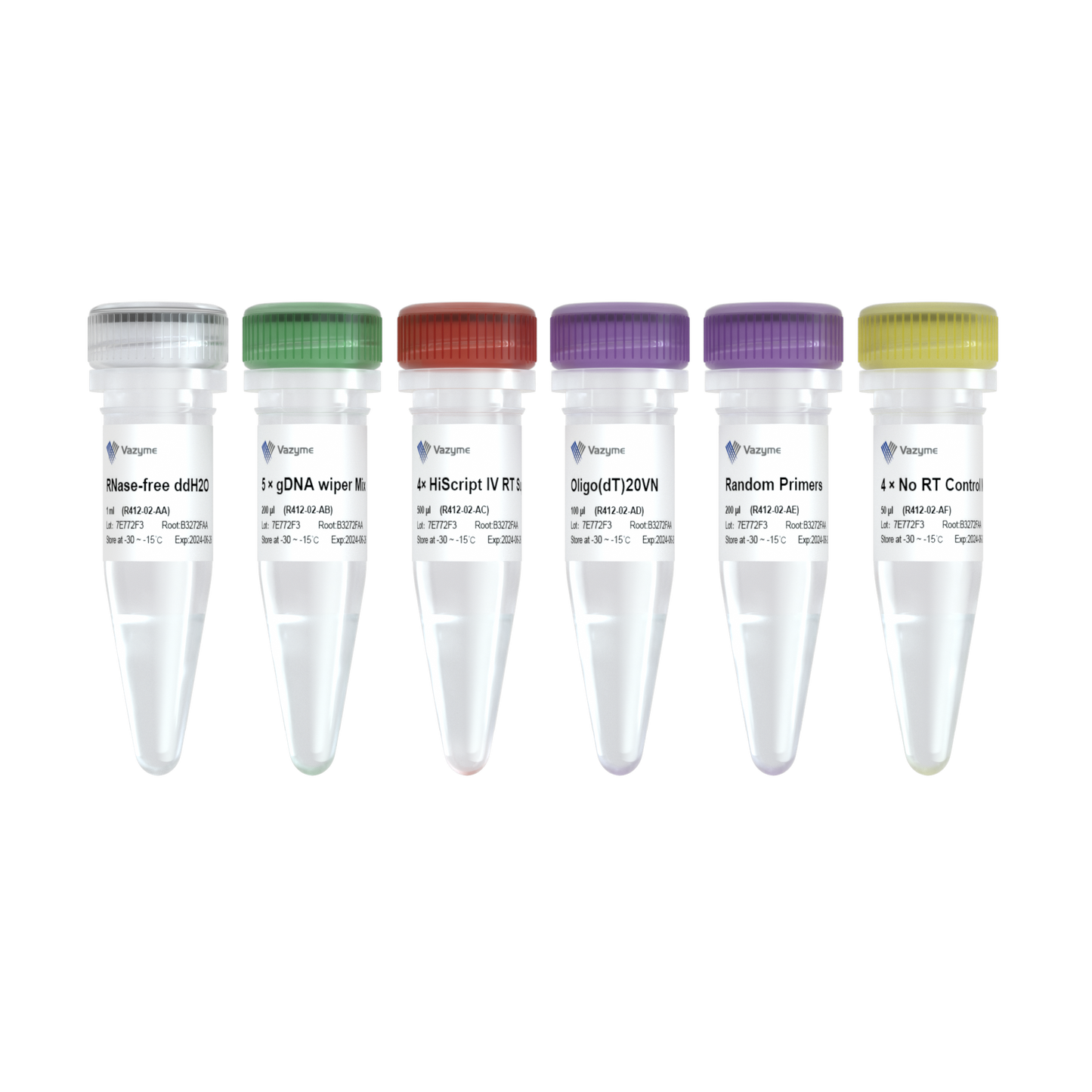 HiScript IV 1st Strand cDNA Synthesis Kit (+gDNA wiper)