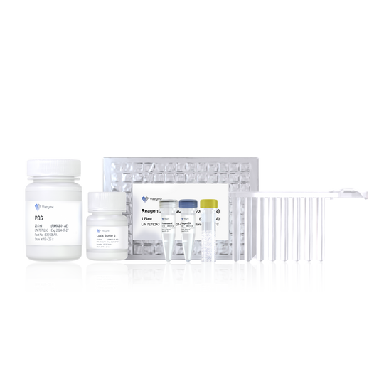 VAMNE Magnetic Pathogen DNA/RNA Kit (Prepackaged)