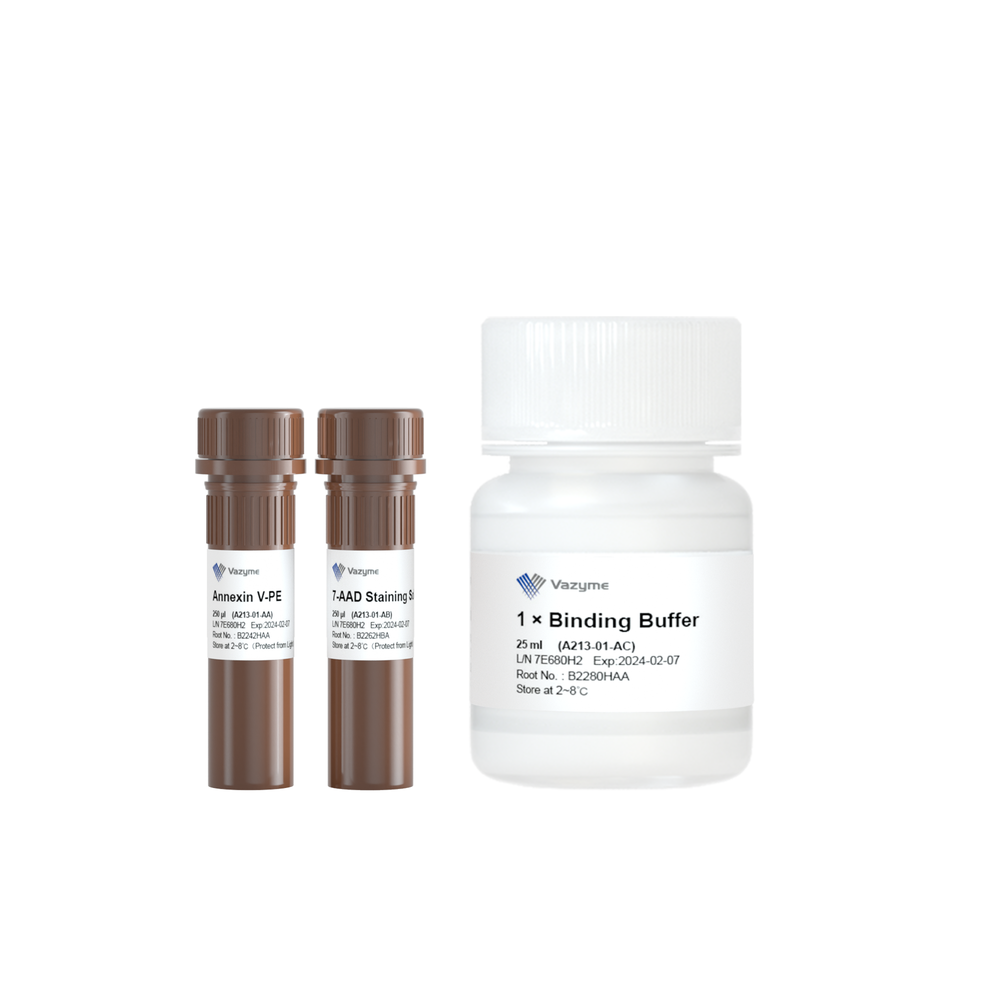 ClonExpress II One Step Cloning Kit Vazymebiotech hu Clonexpress ii one step cloning kit vazymebiotech hu