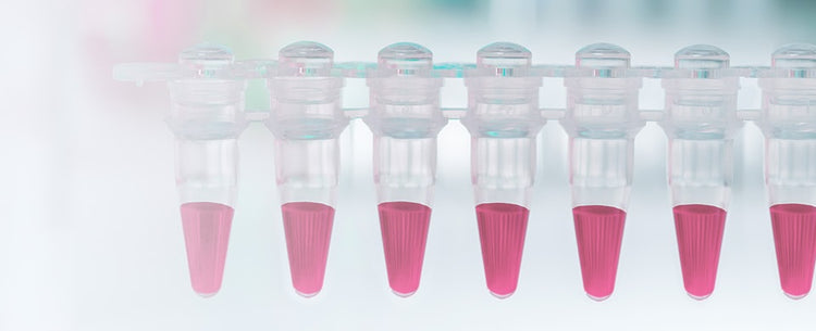 Molecular Biology Consumables