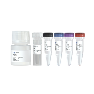 Hyperactive Universal CUT&Tag Assay Kit for Illumina Pro – vazymebiotech.hu