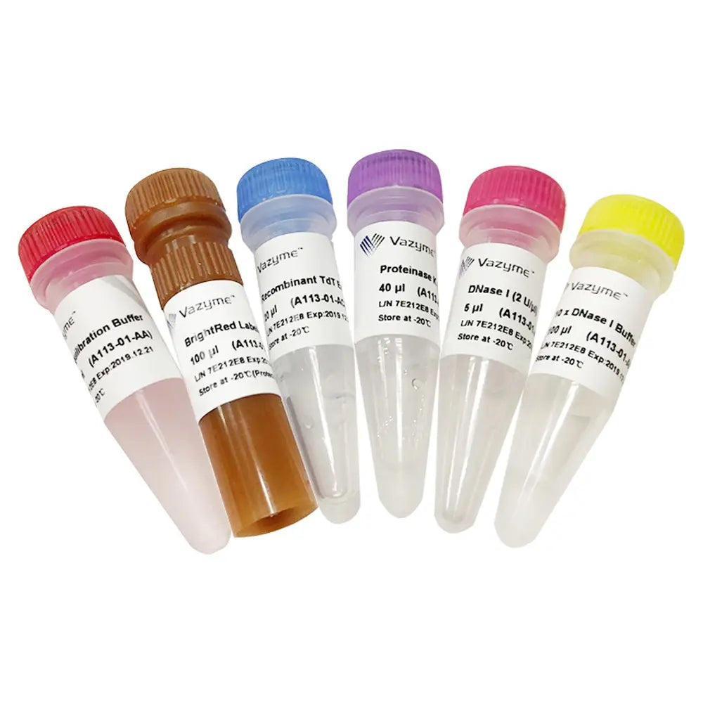 TUNEL BrightRed Apoptosis Detection Kit