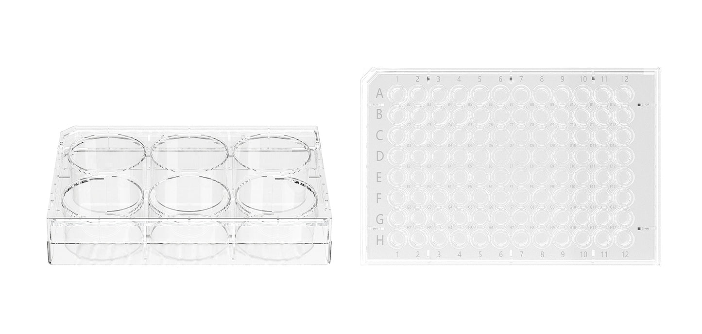 Cell Culture Plate