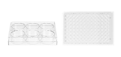 Cell Culture Plate