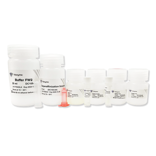 FastPure FFPE DNA Isolation Kit