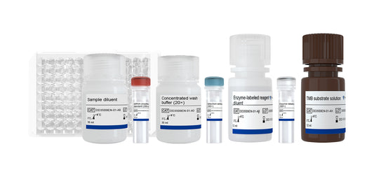 EasyAna dsRNA (Modified) Quantitative Detection Kit (ELISA) 2.0