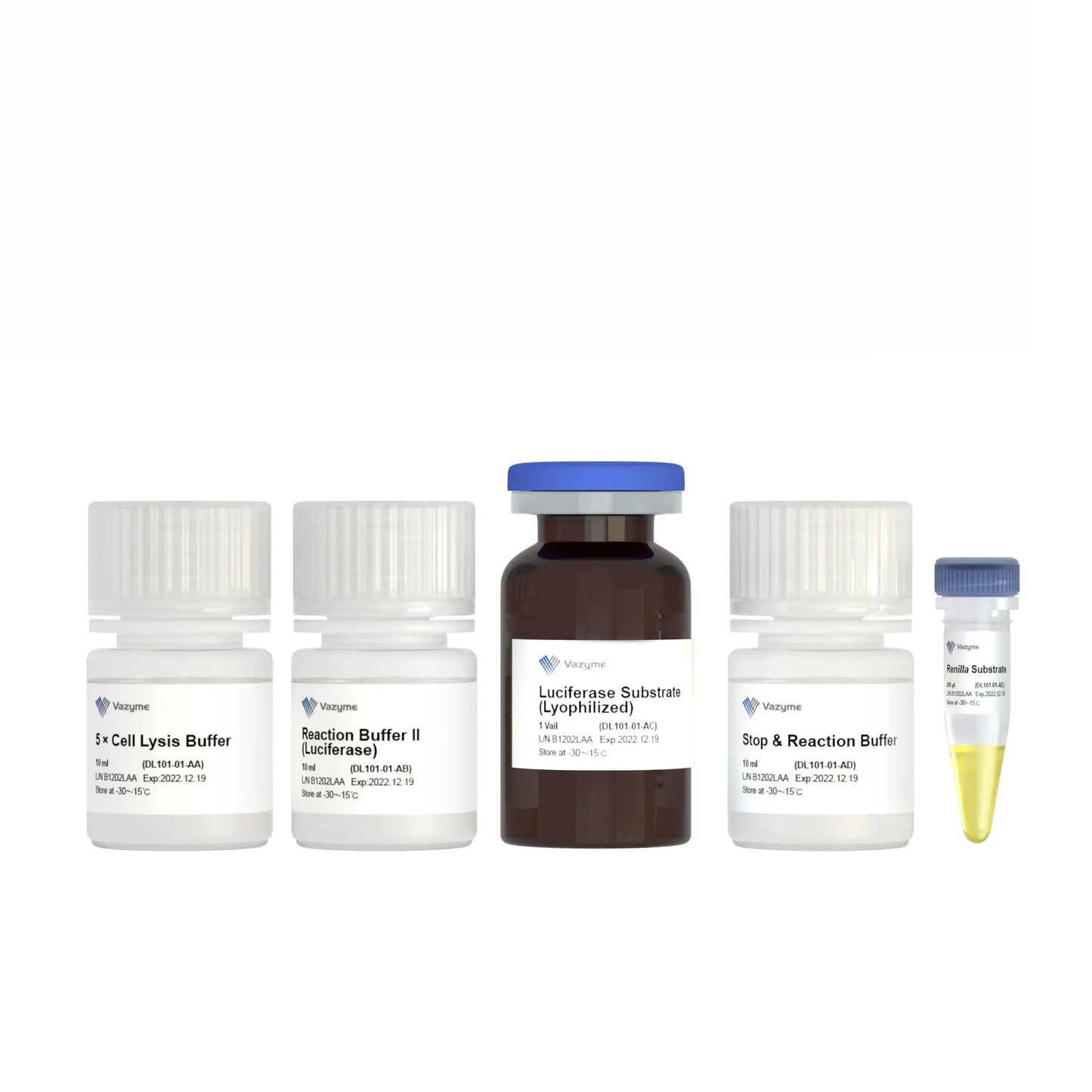 Dual Luciferase Reporter Assay Kit