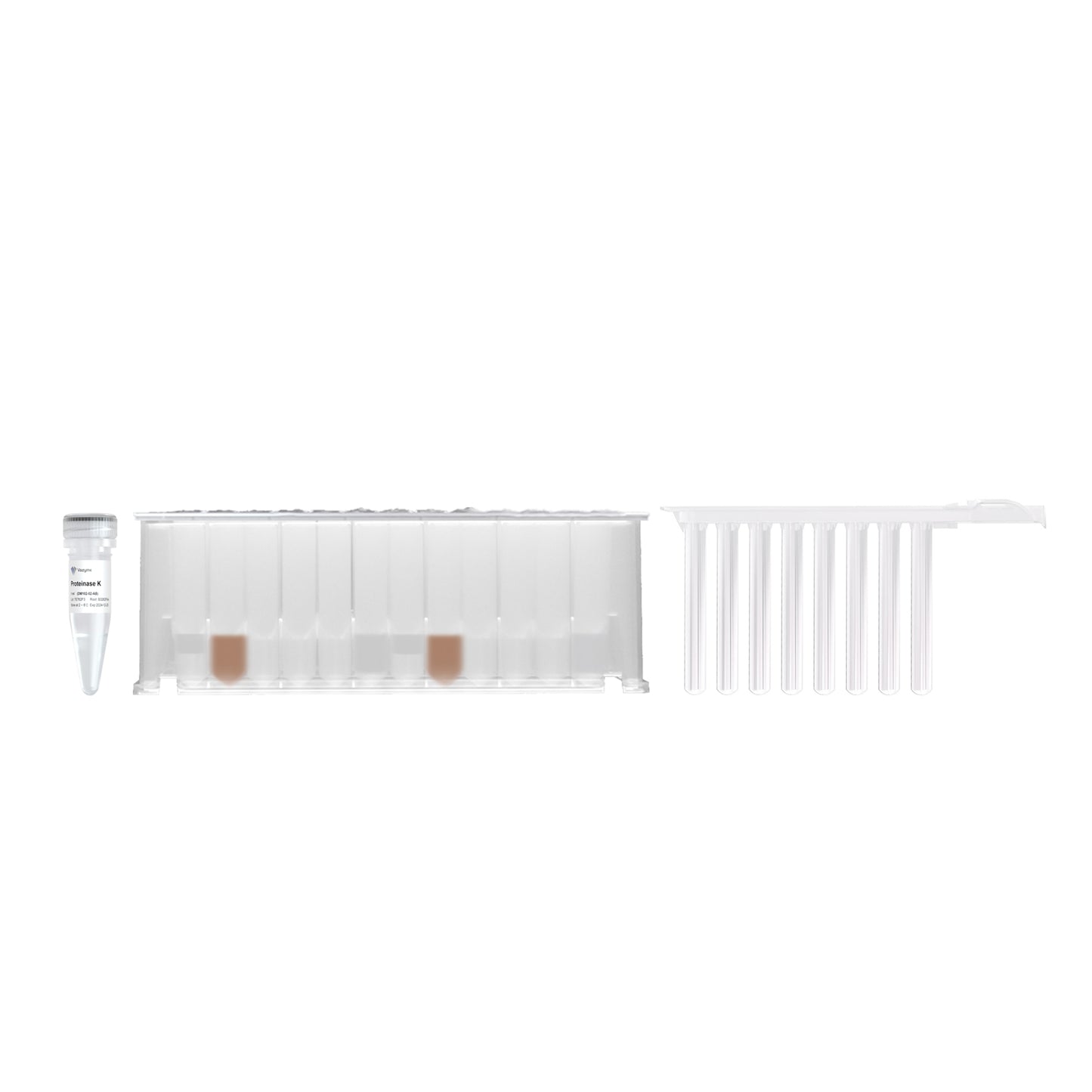 Magnetic Blood DNA Extraction Kit (Prepackaged)