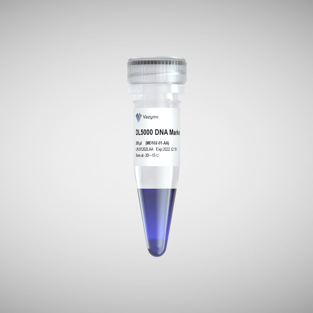DL5000 DNA Marker – vazymebiotech.hu