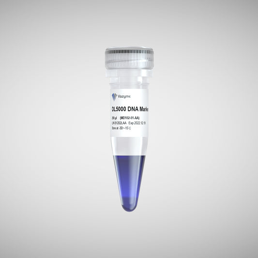 DL5000 DNA Marker