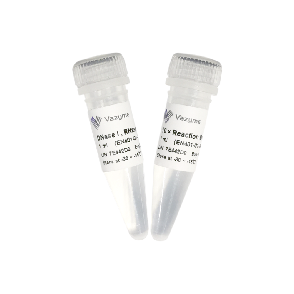 DNase I, RNase-free (50 U/µl)