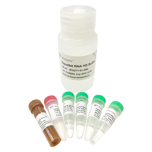 Equalbit RNA HS Assay Kit – vazymebiotech.hu