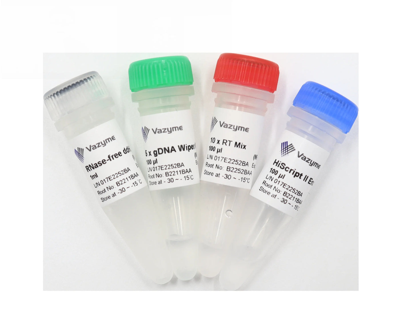 miRNA 1st Strand cDNA Synthesis Kit (by stem-loop)