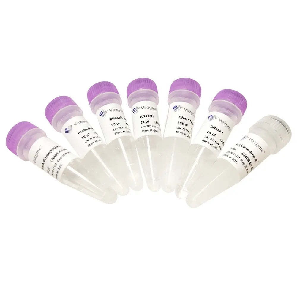 Ribo-off rRNA Depletion Kit (Human/Mouse/Rat)