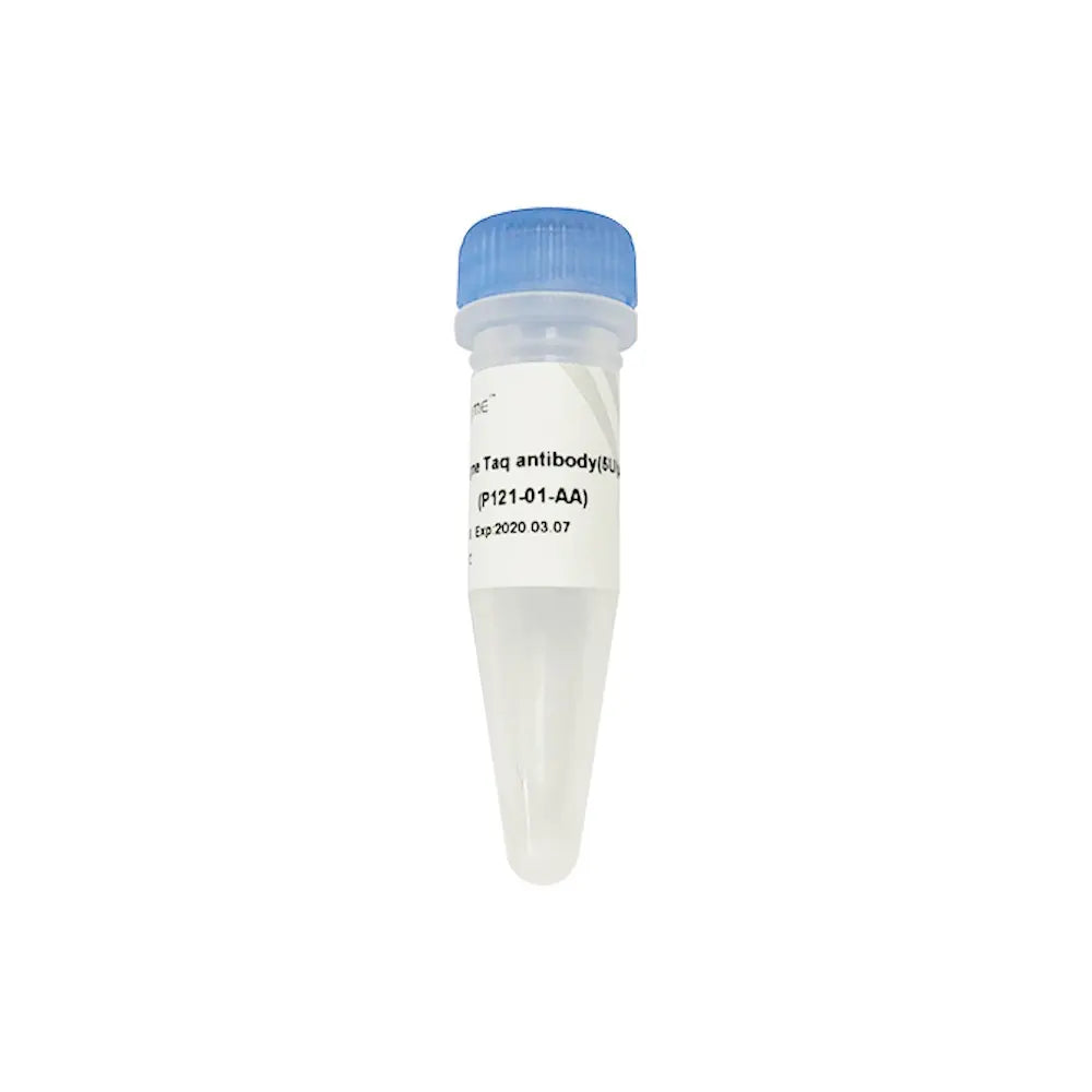 Champagne Taq antibody