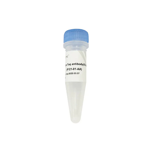 Champagne Taq antibody