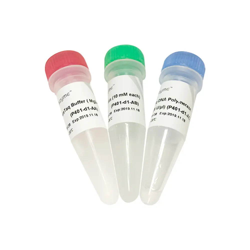 AceTaq DNA Polymerase