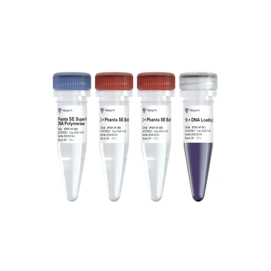 Phanta SE Super-Fidelity DNA Polymerase