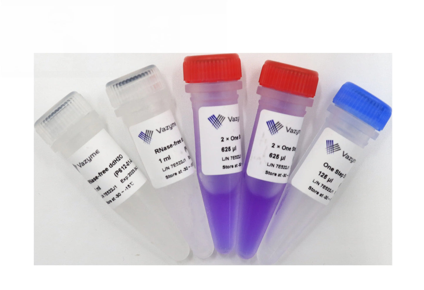 HiScript II One Step RT-PCR Kit (Dye Plus)