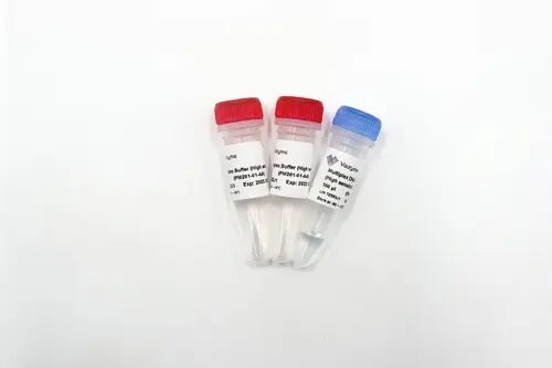 Taq Pro Multiplex DNA Polymerase (High sensitivity)