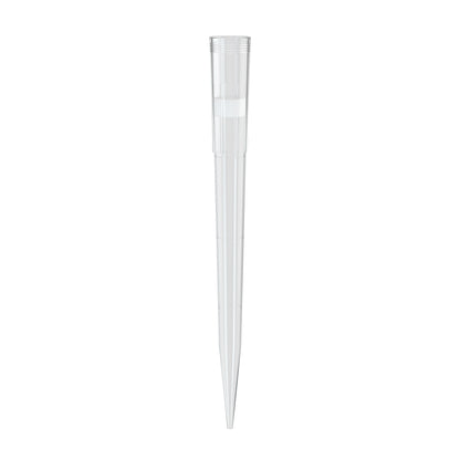 Pipette Tips (Rack, Filtered)