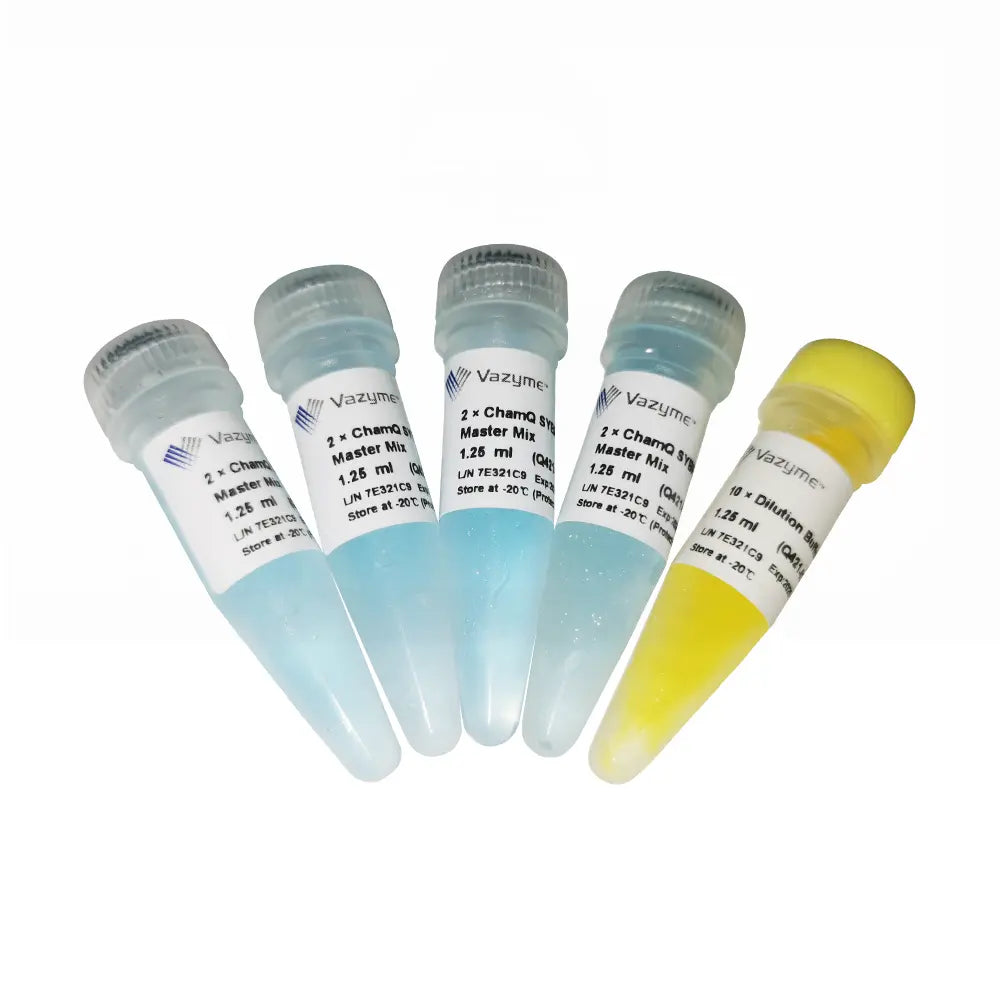 ChamQ SYBR Color qPCR Master Mix (Without ROX)