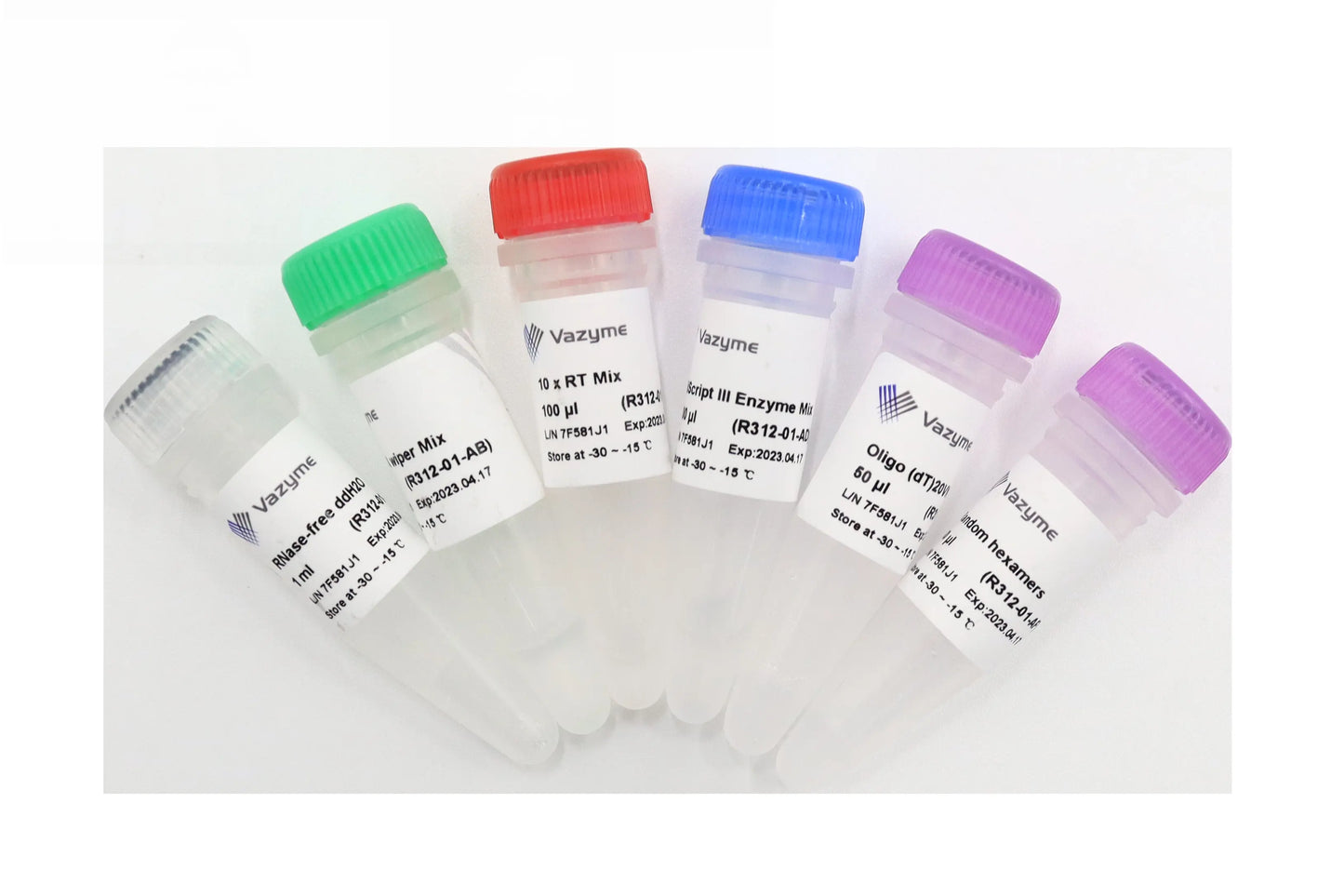 HiScript III 1st Strand cDNA Synthesis Kit (+gDNA wiper)