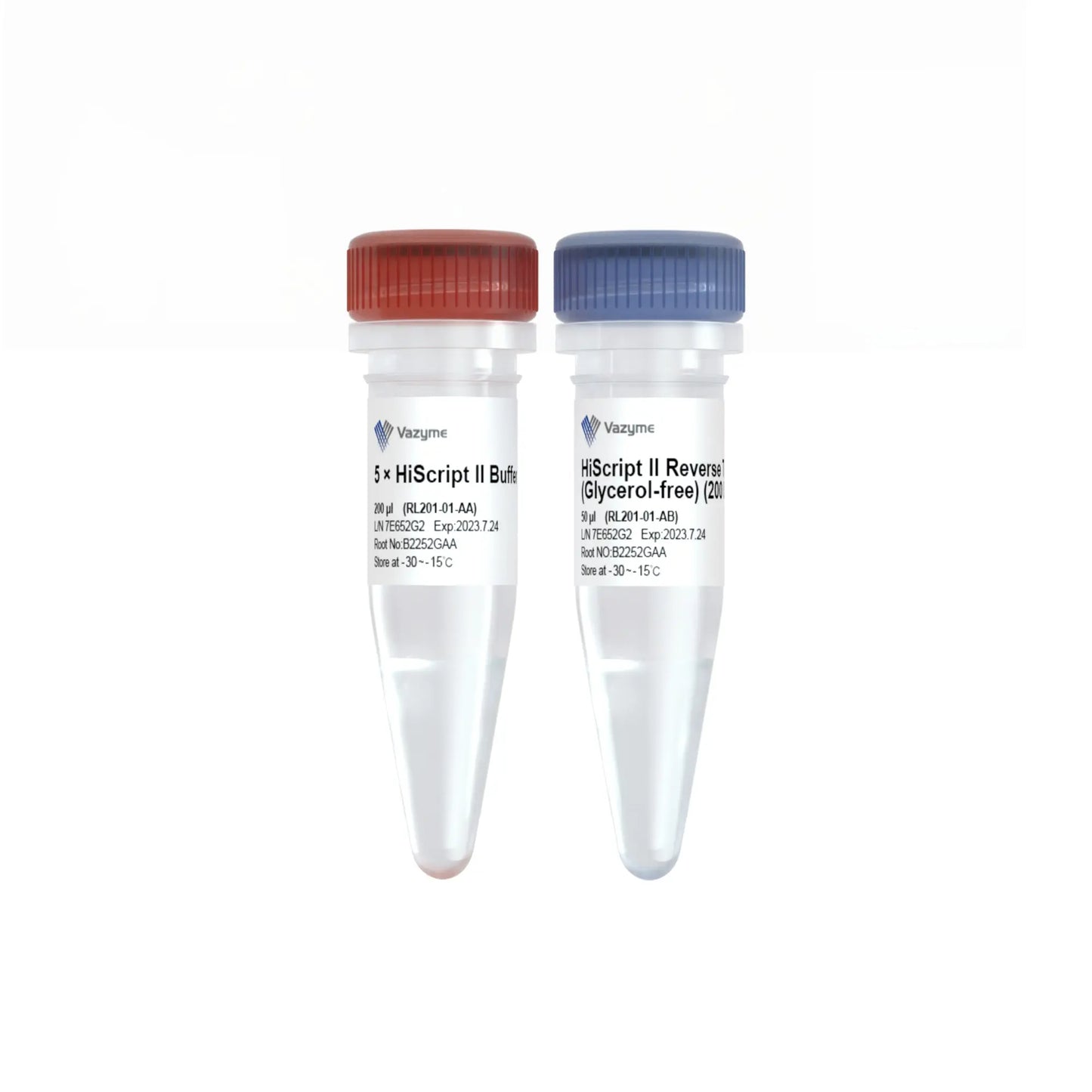 HiScript II Reverse Transcriptase (Glycerol-free)