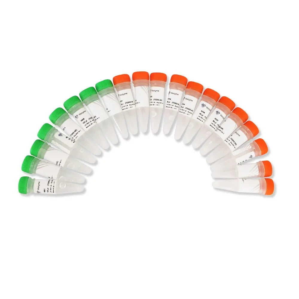 TruePrep Index Kit V2 for Illumina