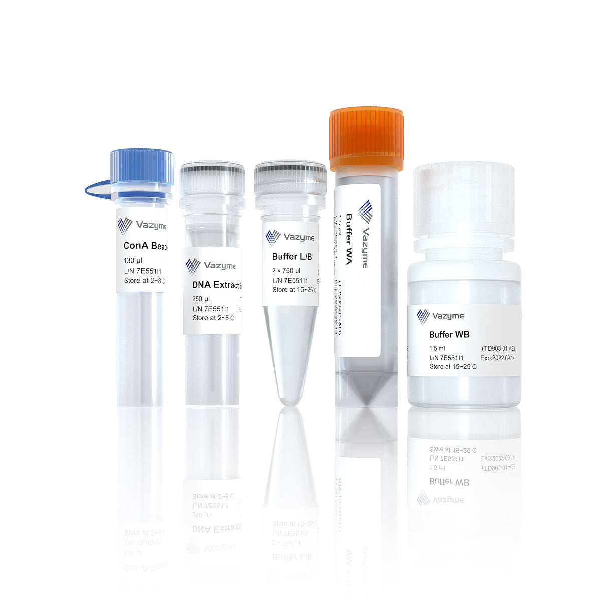Hyperactive Universal CUT&Tag Assay Kit for Illumina – vazymebiotech.hu