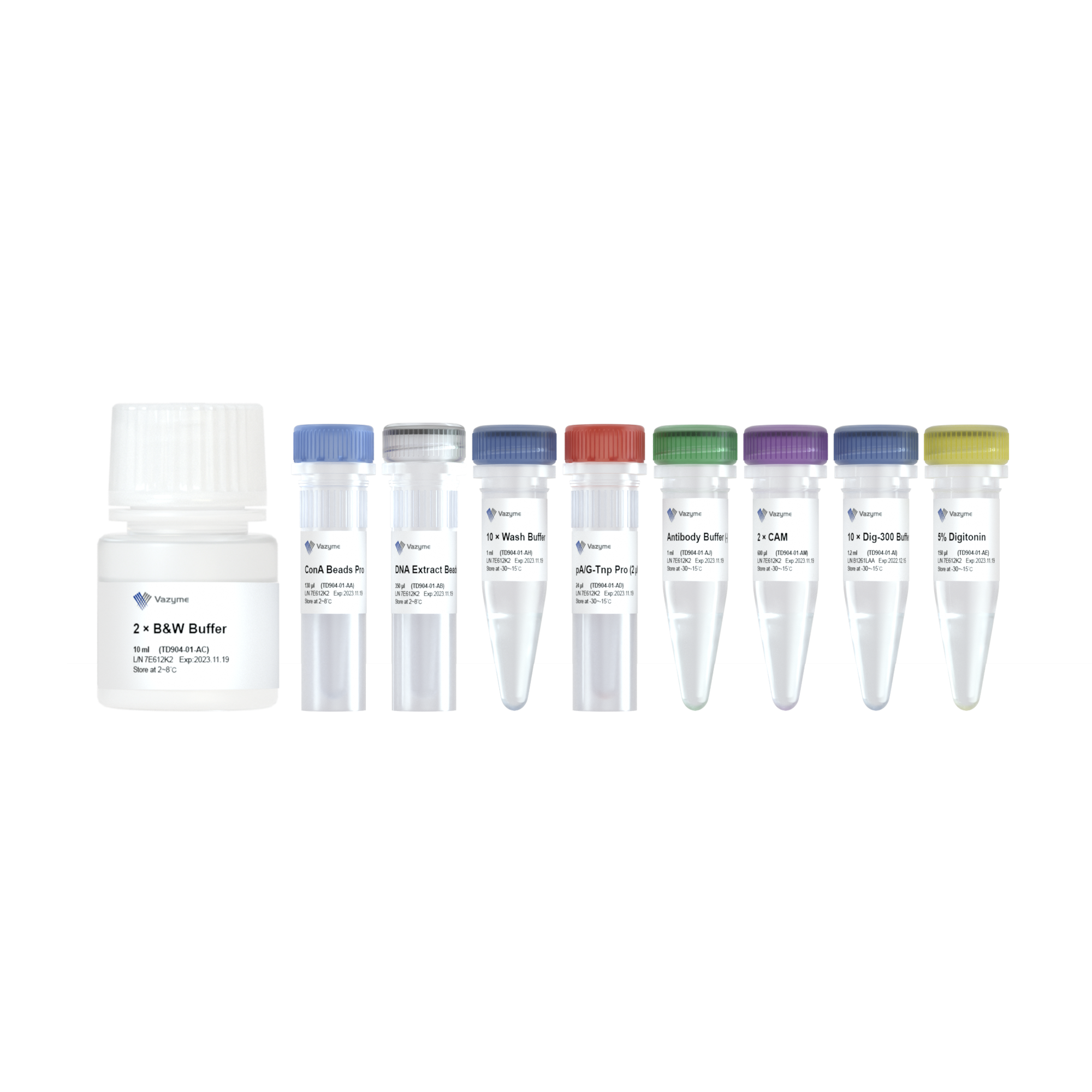 Hyperactive Universal CUT&Tag Assay Kit for Illumina Pro – vazymebiotech.hu