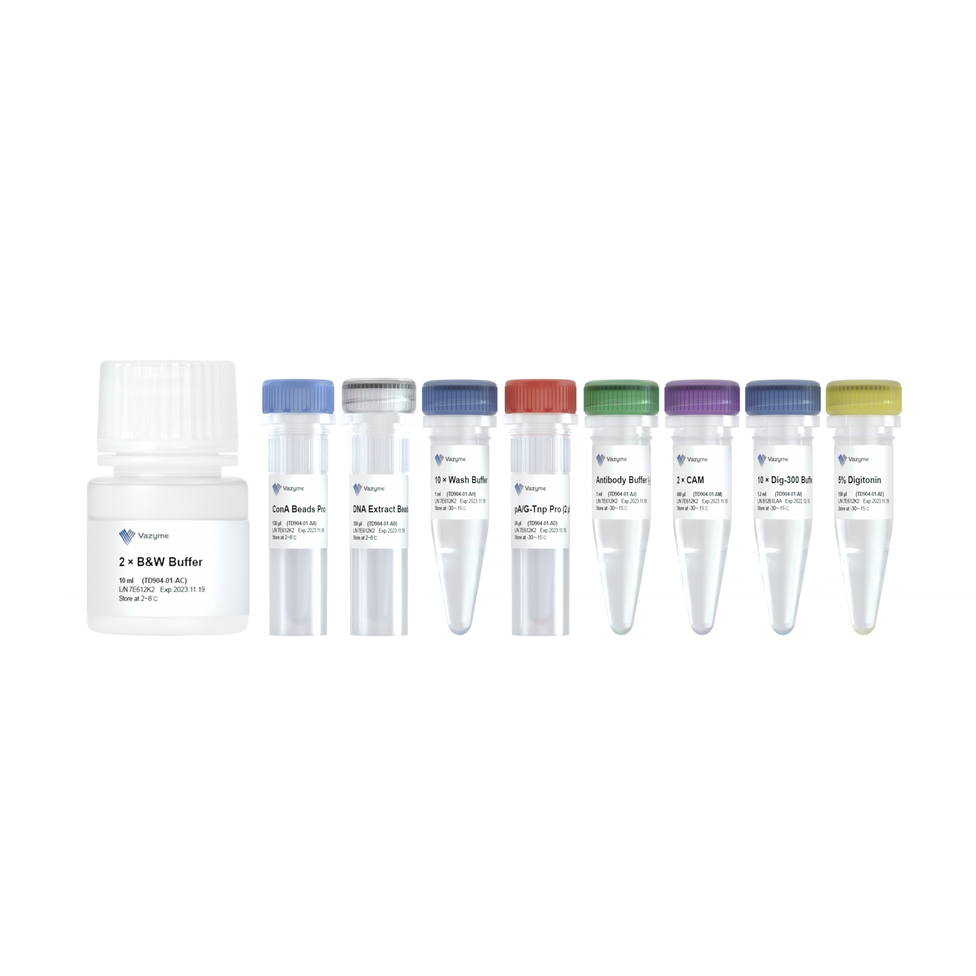 Hyperactive Universal CUT&Tag Assay Kit for Illumina Pro – vazymebiotech.hu