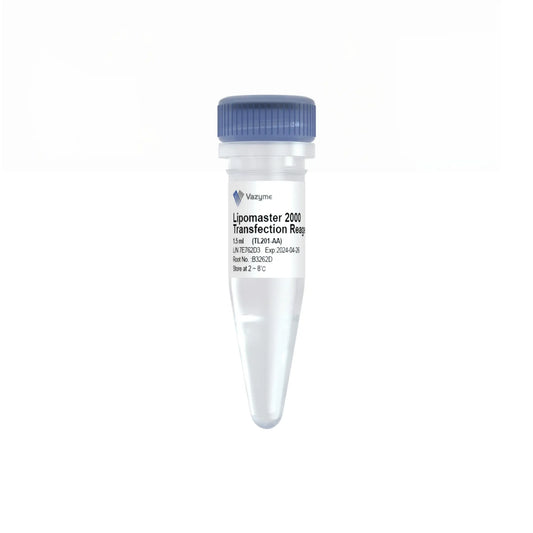 Lipomaster 2000 Transfection Reagent