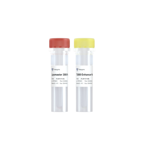 Lipomaster 3000 Transfection Reagent