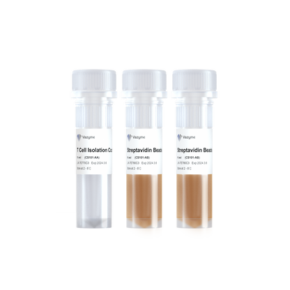 Mouse CD3+ T Cell Isolation Kit