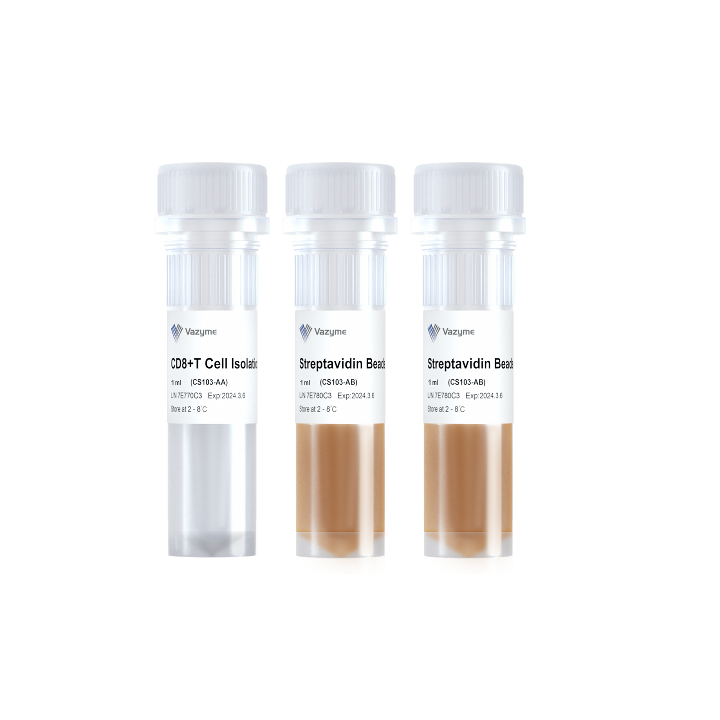 Mouse CD8+ T Cell Isolation Kit