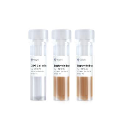 Mouse CD8+ T Cell Isolation Kit