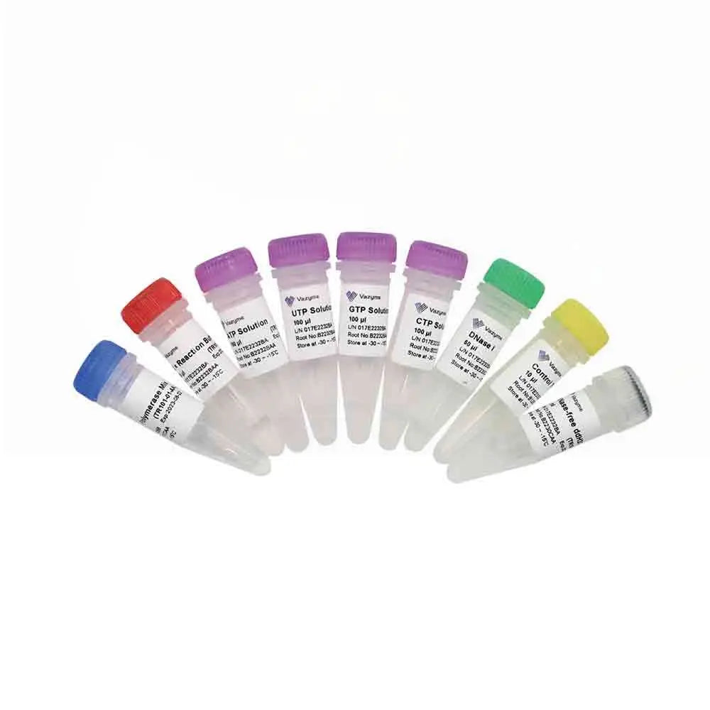 T7 High Yield RNA Transcription Kit